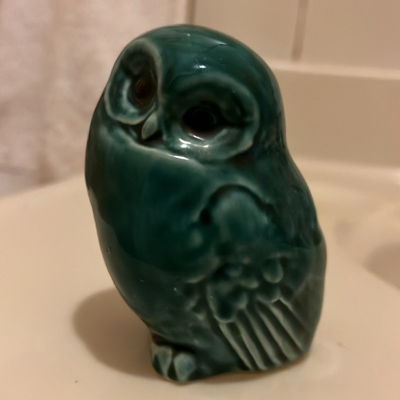 Poole Owl - Picture 5 of 5